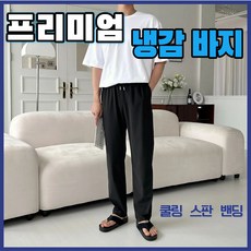 피트미 남성 바지 여름용 구김없는 쿨바지 슬렉스 작업 냉장고바지