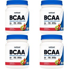 뉴트리코스트 고흡수 BCAA 파우더 딸기키위, 4개, 810g