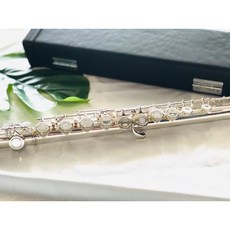 老羊樂器店 鍍銀長笛 16孔/閉孔兩用 C調 初學長笛 E鍵曲列, 1個