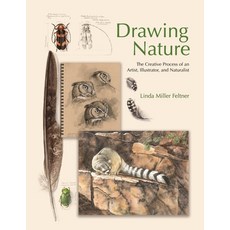 (영문도서) Drawing Nature: The Creative Process of an Artist Illustrator and Naturalist Hardcover, Princeton University Press, English, 9780691255385