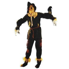 오즈의 마법사 허수아비 패치 355333