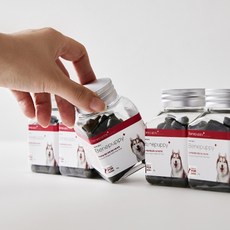 베네퍼피 프리미엄 강아지 관절 영양제, 프리미엄 강아지 관절 영양제 1set, 1개, 관절(슬개골)