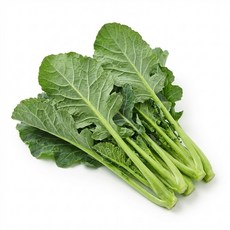 플래음 당일수확 농장직송 케일쫑 케일꽃대, 1박스, 1kg