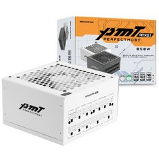 다크플래쉬 퍼펙트모스트 80PLUS골드 풀모듈러 ATX3.1, 1개, 화이트, 850W