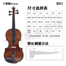 丁塔斯B01虎紋歐料小提琴 初學者自學練習專業考級檢定樂器, 1個, 1/4身高120-129cm