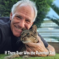 (영문도서)If There Ever Was the Purrrfect Cat Paperback, Independently Published, English, 9798287088392