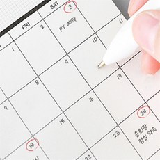 투유샵 일정계획표 주간계획, 먼슬리