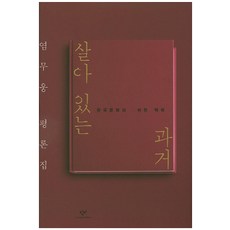 Changbi Publishers 活著的過去：韓國文學的某種脈絡 | 廉武雄評論集, 廉武雄