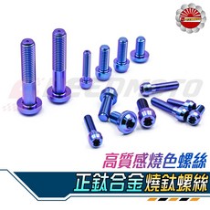 Speedmoto 鈦合金燒色飛碟頭螺絲, 1個, 錐形頭,M4*12L*P0.7