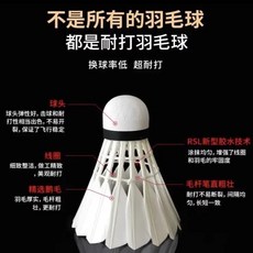 羽毛球 台灣出貨 羽毛球訓練比賽飛行穩定耐打鵝毛球專業比賽訓練用, 1個, 1筒裝 77速,【精選鴨毛】RSL-55