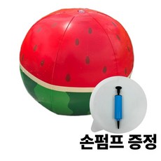 호두네잡화점 과일 비치볼, 1개, 수박, 26cm