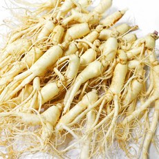 금산 후금이네 가정용 햇 수삼 세척인삼, 700g, 1세트, 27-35뿌리(난발)