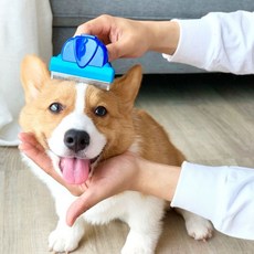 강아지 빗 고양이 브러쉬 죽은털제거 애견미용 털관리, 5. 고양이