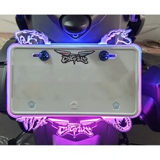 LED 發光車牌框，上藍下紫，七碼/六碼車牌適用, 藍, 1個