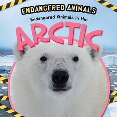 (영문도서) Endangered Animals in the Arctic Library Binding, PowerKids Press, English, 9781725336162