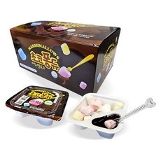 이홈베이킹 머쉬멜로우 초코퐁듀, 23g, 1개