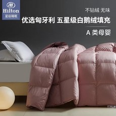 구스다운이불 거위털이불 봄 가을 구스다운 호텔용 고함량 구스이불가을용 거위털 트위스트 화이트 150 200cm 봄가을 800g, 8_120수 순면 저소음 항균 항진드기 플레인 팥앙금