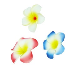 한울애 하와이 꽃 여름휴가, 레드