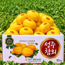 [2주한정특가] 고당도선별 가정용 성주 참외, 1박스, 3kg