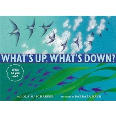 노부영 What's Up What's Down?, Harpercollins Juvenile