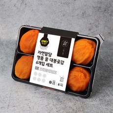 [2025년 첫출하 햇곶감] 산지직송 꿀 반건시 곶감 특사이즈 선물세트 실속세트 대봉, 꿀 대봉 곶감 [6구 실속형], 1개