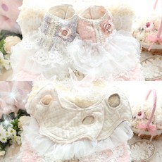 狗狗衣服布偶貓居家外出雛菊花邊香風棉衣裙秋冬新款, 粉色,小號, 1個