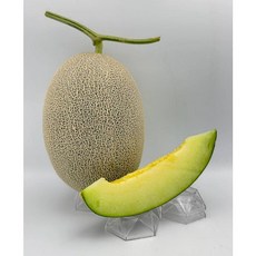 野菜部屋~ 哈雷綠肉新疆哈密瓜種子 R50 高甜度 肉質脆甜 極抗白粉病 採收快, 1包