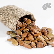 (논앤밭위드) 파바빈 500g, 1개