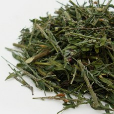 야관문주 바로 담그는 세척 말린 야관문 비수리, 1개, 300g