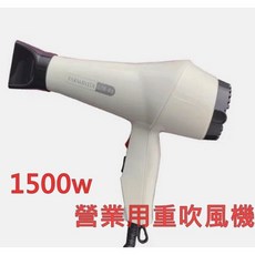 FARMAVITA GTR-R8 1500W 專業用重型吹風機, 綠色