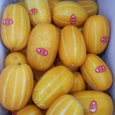 [마지막특가] 아삭식감 성주 참외 랜덤과, 1박스, 1kg