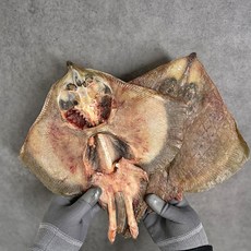 국산 남해안 손질 반건조 간재미 손질가오리 제철 26~29cm 해풍건조 찜용, 1개, 750g 내외(2미)