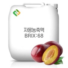 자두농축액 68Brix 200g 샘플, 1개