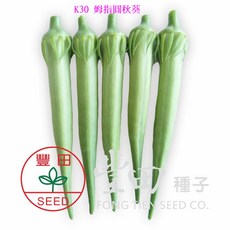 【野菜部屋~】K30 姆指圓秋葵種子 不易老化 柔嫩品質好, 1包