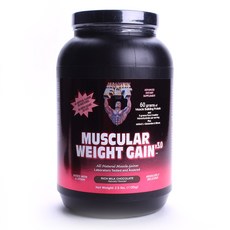 HEALTHY 'N FIT 增肌 v3.0, 濃郁的牛奶巧克力, 1135克