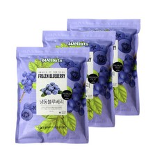 웰루츠 A등급 냉동 블루베리, 3개, 1kg