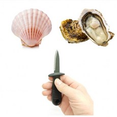 닐투샵 꼬막 굴까기 손질칼 조개 막칼, 1개