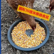 加厚熟膠長方形鴨盆食槽，多用途餵雞食槽，家用養殖專用，耐用易清潔, 1個, 圓形30厘米食盆【高度4厘米】