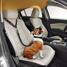 퍼피즈랩 강아지 2in1 안전벨트 애견 안전용품 리드줄, 2개