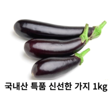 국내산 최상급 가지 1kg 국산 신선한 생가지 한박스 못난이 가지 나물 무침 볶음 튀김 싱싱한 특품 가지, 1개