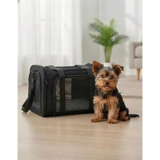 피디노스 강아지 고양이 가방, 1개, 블랙