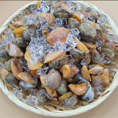 자연산 서해안 골뱅이 자숙 냉동 코고동, 1kg, 1개