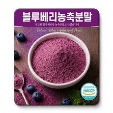 이번생은 블루베리 농축 분말 가루 HACCP인증, 1개, 300g