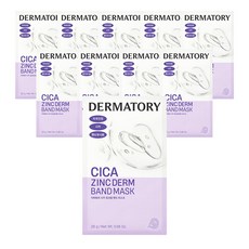 더마토리 프로 시카 징크덤 밴드 마스크, 1개입, 10개