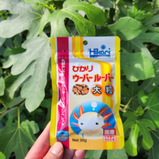 [성체용] 히카리 우파루파 사료 30g 뉴트 도롱뇽 살라만다 먹이, 1개