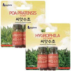 아쿠아테라 씨앗수초세트(하이그로필라6gX2개+미니헤어6gX2개), 아쿠아테라 씨앗수초세트(하이그로필라6gX2개+미니헤어6