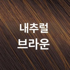 로즈브라운 헤어컬러 트리트먼트 헤어트리트먼트 두피관리 두피보습 헤어에센스 헤어오일 헤어팩, 내추럴 브라운, 1개, 1L