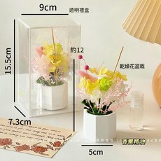 乾燥花盆栽 香氛禮盒, 1個, 單一選項