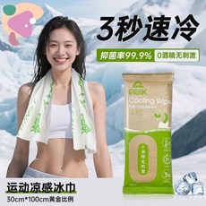 台出精品 冷感運動毛巾 降溫冰巾 戶外去汗濕巾 便攜舒爽 植癒力 軍訓去味 清涼, 速爽持久降溫冰巾【10片】獨立包裝,大號/夏季熱銷款（約60cm*25cm）, 1個