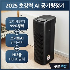 [최신형] 실시간 AI 청정 가정용 공기청정기 저소음 원룸 소형 미니 공청기 15평형, 매트 블랙